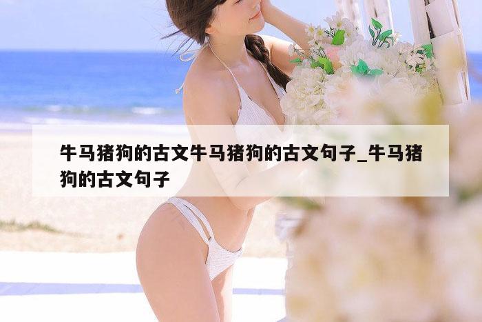 牛马猪狗的古文牛马猪狗的古文句子_牛马猪狗的古文句子